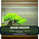 IWAGUMI AQUASCAPE: IWAGUMI AQUASCAPE – HOW TО AND GUIDE Photo, bestseller 2024-2023 new, best price $2.99 review