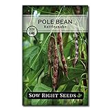 Sow Right Seeds - Rattlesnake Pole Bean Seed for Planting - Non-GMO Heirloom Packet with Instructions to Plant a Home Vegetable Garden Photo, bestseller 2024-2023 new, best price $5.49 review
