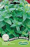 Germisem Mentha Piperita Semillas de Menta 0.2 g Foto, éxito de ventas 2024-2023 nuevo, mejor precio 2,21 € revisión