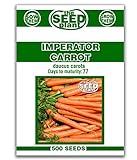 Imperator Carrot Seeds - 500 Seeds Non-GMO Photo, bestseller 2024-2023 new, best price $1.59 review