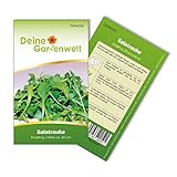 Salatrauke Einjährig Samen - Eruca sativa - Salatraukesamen - Gemüsesamen - Saatgut für 200 Pflanzen Foto, Bestseller 2024-2023 neu, bester Preis 1,99 € (0,01 € / stück) Rezension