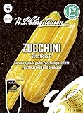 Zucchini Sunstripe F1, hervorragende gelbe Zucchinispezialität, Samen Foto, Bestseller 2024-2023 neu, bester Preis 4,36 € Rezension