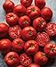 Photo Burpee Big Boy' Hybrid Large Slicing Red Tomato Rich Flavor, 50 seeds new bestseller 2024-2023