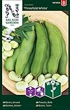 Ackerbohnen Samen für Gemüsegarten - Nelson Garden Saatgut Dicke Bohnen (40 Stück) (Bohne, Acker, Einzelpackung) Foto, Bestseller 2024-2023 neu, bester Preis 3,45 € Rezension