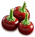 Foto Hot Chili Pfeffer Cherry Rot - Pepper - 20 Samen neu Bestseller 2024-2023