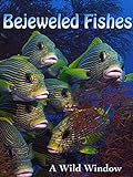 Bejeweled Fishes Photo, bestseller 2024-2023 new, best price $2.99 review