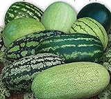 CEMEHA SEEDS - Watermelon Alibaba Giant Mix Non GMO Fruits for Planting Photo, bestseller 2024-2023 new, best price $6.95 ($0.23 / Count) review