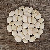 Henderson's Bush Lima Bean - 50 Seeds - Heirloom & Open-Pollinated Variety, USA-Grown, Non-GMO Vegetable/Dry Bean Seeds for Planting Outdoors in The Home Garden, Thresh Seed Company Photo, bestseller 2024-2023 new, best price $7.99 review