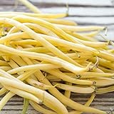 Golden Wax Bush Bean Plant Seeds, 50 Heirloom Seeds Per Packet, Non GMO Seeds, (Isla's Garden Seeds), Botanical Name: Phaseolus vulgaris, 85% Germination Rates Photo, bestseller 2024-2023 new, best price $5.99 ($0.12 / 50) review