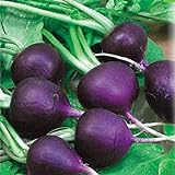 Seeds Radish Purple Rare 20 Days Vegetable for Planting Non GMO Photo, bestseller 2024-2023 new, best price $8.99 review