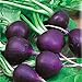 Photo Seeds Radish Purple Rare 20 Days Vegetable for Planting Non GMO new bestseller 2024-2023
