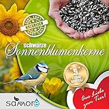 Sonnenblumenkerne schwarz 25 kg erstklassige Qualität Wildvogelfutter Foto, Bestseller 2024-2023 neu, bester Preis 35,49 € (1,42 € / kg) Rezension
