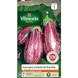 Vilmorin - Sachet graines Aubergine Listada de Gandia Photo, best-seller 2024-2023 nouveau, meilleur prix 5,67 € examen