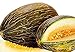 Photo 50 Piel de Sapo Melon Seeds | Non-GMO | Heirloom | Fresh Garden Seeds new bestseller 2024-2023
