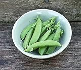 Pea Seed, Sugar Snap Pea, Heirloom, Non GMO, 50 Seeds, Perfect Peas, Country Creek Acres Photo, bestseller 2024-2023 new, best price $2.99 ($0.06 / Count) review