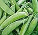 Photo Pea Seed, Sugar Snap Pea, Heirloom, Non GMO, 20 Seeds, Perfect Peas, Country Creek Acres new bestseller 2023-2022