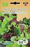Germisem Orgánica Baby Leaf Salad Leaves Semillas de Lechuga 2 g Foto, éxito de ventas 2024-2023 nuevo, mejor precio 3,99 € revisión