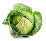 Brunswick Cabbage Seeds, 300 Heirloom Seeds Per Packet, Non GMO Seeds, Botanical Name: Brassica oleracea, Isla's Garden Seeds Photo, bestseller 2024-2023 new, best price $5.69 ($0.02 / Count) review