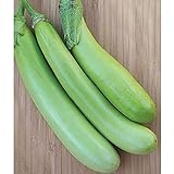 Lousiana Long Green Eggplant Seeds (30+ Seed Package) Photo, bestseller 2024-2023 new, best price $4.19 review