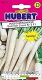 Graines de Radis Minowase Summer Cross N°3 F1 - 3 grammes Photo, best-seller 2024-2023 nouveau, meilleur prix 4,65 € examen