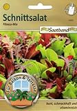 Schnittsalat Fitness Mix Saatband für Balkon & Terrasse bunt schmackhaft vitaminreich 43020 Salat Foto, Bestseller 2024-2023 neu, bester Preis 2,65 € Rezension