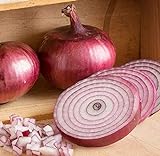 David's Garden Seeds Onion Intermediate-Day Monastrell 3943 (Red) 100 Non-GMO, Hybrid Seeds Photo, bestseller 2024-2023 new, best price $4.45 review