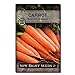 Photo Sow Right Seeds - Scarlet Nantes Carrot Seed for Planting - Non-GMO Heirloom Packet with Instructions to Plant a Home Vegetable Garden, Indoors or Outdoor; Great Gardening Gift (1) new bestseller 2023-2022