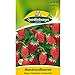 Foto Erdbeeren, Monatserdbeeren Rügen, Fragaria vesca, ca. 100 Samen neu Bestseller 2024-2023