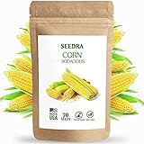 SEEDRA 70+ Corn Seeds for Indoor and Outdoor Planting, Non GMO Hybrid Seeds for Home Garden - 1 Pack Photo, bestseller 2024-2023 new, best price $6.99 review