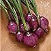 Photo David's Garden Seeds Onion Long-Day Purplette 8374 (Purple) 200 Non-GMO, Open Pollinated Seeds new bestseller 2024-2023