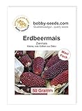 Ziermaissamen Erdbeermais 50 Gramm Foto, Bestseller 2024-2023 neu, bester Preis 5,35 € Rezension