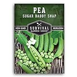 Survival Garden Seeds - Sugar Daddy Snap Pea Seed for Planting - Packet with Instructions to Plant and Grow in Delicious Pea Pods Your Home Vegetable Garden - Non-GMO Heirloom Variety Photo, bestseller 2024-2023 new, best price $5.49 review