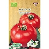 Germisem Orgánica ACE 55 VF Semillas de Tomate 0.5 g (ECBIO8019) Foto, éxito de ventas 2024-2023 nuevo, mejor precio 3,99 € revisión