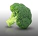 Photo 100 graines - CHOU BROCOLI - Vert Calabrais - Brassica Oleracea nouveau best-seller 2022-2021