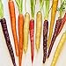 Foto Gemüsesamensorten - 800Pcs nahrhafte gemischte Regenbogen Karottensamen Einfach wachsen Gemüse Garten Pflanze Kinder Anfänger Gärtner Geschenk -1 # neu Bestseller 2022-2021