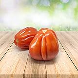 Tomato ''Bullenherz'' 25 x Samen aus Portugal 100% Natursamen ohne chemische Anzuchthilfen oder Gentechnik Foto, Bestseller 2024-2023 neu, bester Preis 2,99 € Rezension