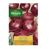 Semillas de Cebolla Roja de Zalla VILMORIN, 3gr Foto, éxito de ventas 2024-2023 nuevo, mejor precio 2,70 € revisión