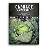 Survival Garden Seeds - Golden Acres Green Cabbage Seed for Planting - Packet with Instructions to Plant and Grow Yellow-White Cabbages in Your Home Vegetable Garden - Non-GMO Heirloom Variety Photo, bestseller 2024-2023 new, best price $4.99 review
