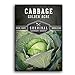 Photo Survival Garden Seeds - Golden Acres Green Cabbage Seed for Planting - Packet with Instructions to Plant and Grow Yellow-White Cabbages in Your Home Vegetable Garden - Non-GMO Heirloom Variety new bestseller 2023-2022