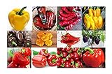 Harley Seeds This is A Mix!!! 30+ Sweet Pepper Mix Seeds, 12 Varieties Heirloom Non-GMO, Pimento, Purple Beauty, from USA, green Photo, bestseller 2024-2023 new, best price $5.49 ($2.74 / Gram) review