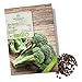 Foto BIO Brokkoli Samen (Calabrese) - Brokkoli Saatgut aus biologischem Anbau ideal für die Anzucht im Garten, Balkon oder Terrasse neu Bestseller 2024-2023