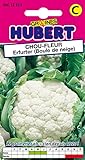Graines de Chou-fleur Erfurter - Boule de Neige - 1 gramme Photo, best-seller 2024-2023 nouveau, meilleur prix 3,55 € examen