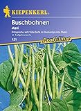Buschbohne 'Maxi' Foto, Bestseller 2024-2023 neu, bester Preis 3,95 € Rezension