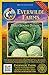 Photo Everwilde Farms - 500 Early Round Dutch Cabbage Seeds - Gold Vault Jumbo Seed Packet new bestseller 2024-2023