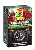COMPO Anwachs-Turbo, Hochwirksames Bewurzelungshilfsmittel, 0,7 kg Foto, Bestseller 2024-2023 neu, bester Preis 10,05 € (14,36 € / kg) Rezension