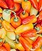 Photo Lunchbox Sweet Peppers 50 Seeds Garden Fresh Vegetables Healthy Planting new bestseller 2024-2023