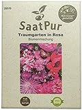SaatPur Sommerblumenmischung Traumgarten in Rosa Samen Saatgut Blumenmischung Mix Foto, Bestseller 2024-2023 neu, bester Preis 3,99 € Rezension