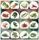 Prademir Gemüse Samen Set - 16 Gemüse Sorten aus Portugal | 100% Natur Saat (Keine Chemie, Gentechnik, künstliche Wachstums-Helfer) Foto, Bestseller 2024-2023 neu, bester Preis 9,99 € Rezension