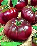 CEMEHA SEEDS - Black Prince Tomato Determinate Non GMO Vegetable for Planting Photo, bestseller 2024-2023 new, best price $6.95 ($0.14 / Count) review