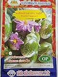 Golden Mountain Thai Round Eggplant Seeds Photo, bestseller 2024-2023 new, best price $6.99 review